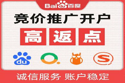 成功企业SEM竞价代运营案例研究